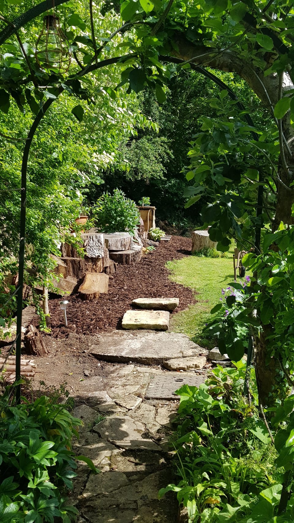 Apple archway to back lawn