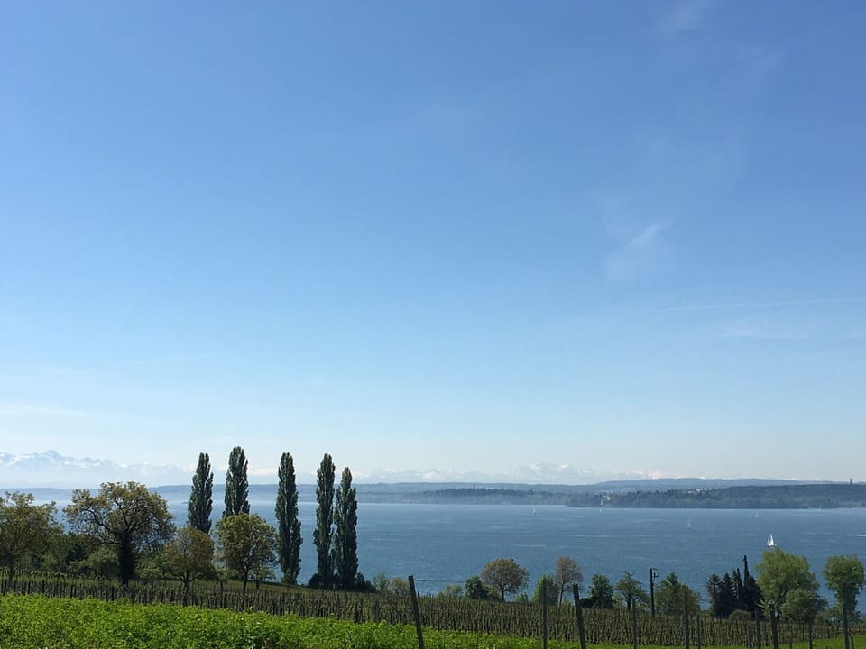 Birnaublick - 5 ***** (DTV) apartment in Uhldingen with lake view, indoor pool, sauna Apartment in Baden-Württemberg