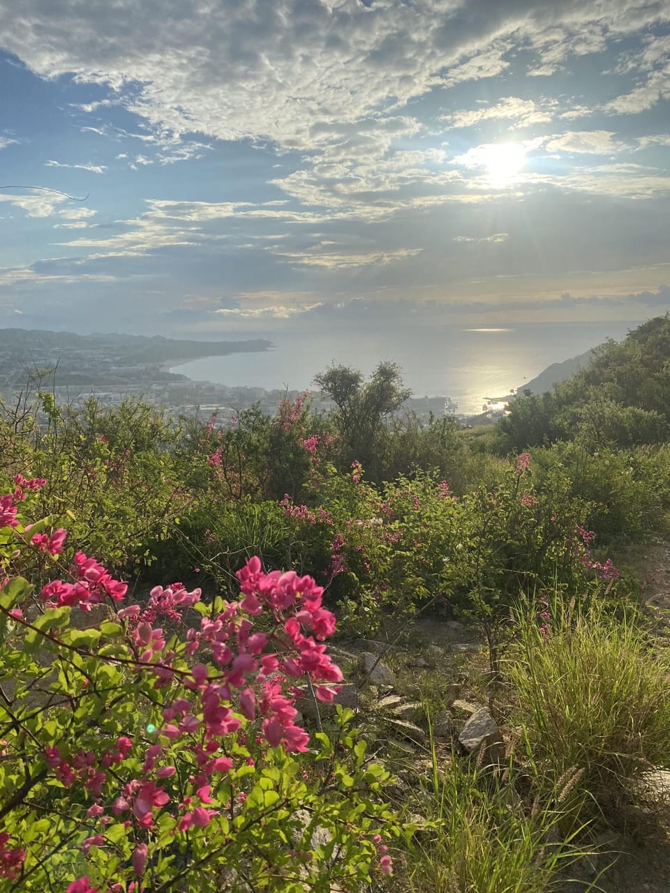 Observation Road View of San Lucas Bay-  Sea of Cortez  -Spiritual 