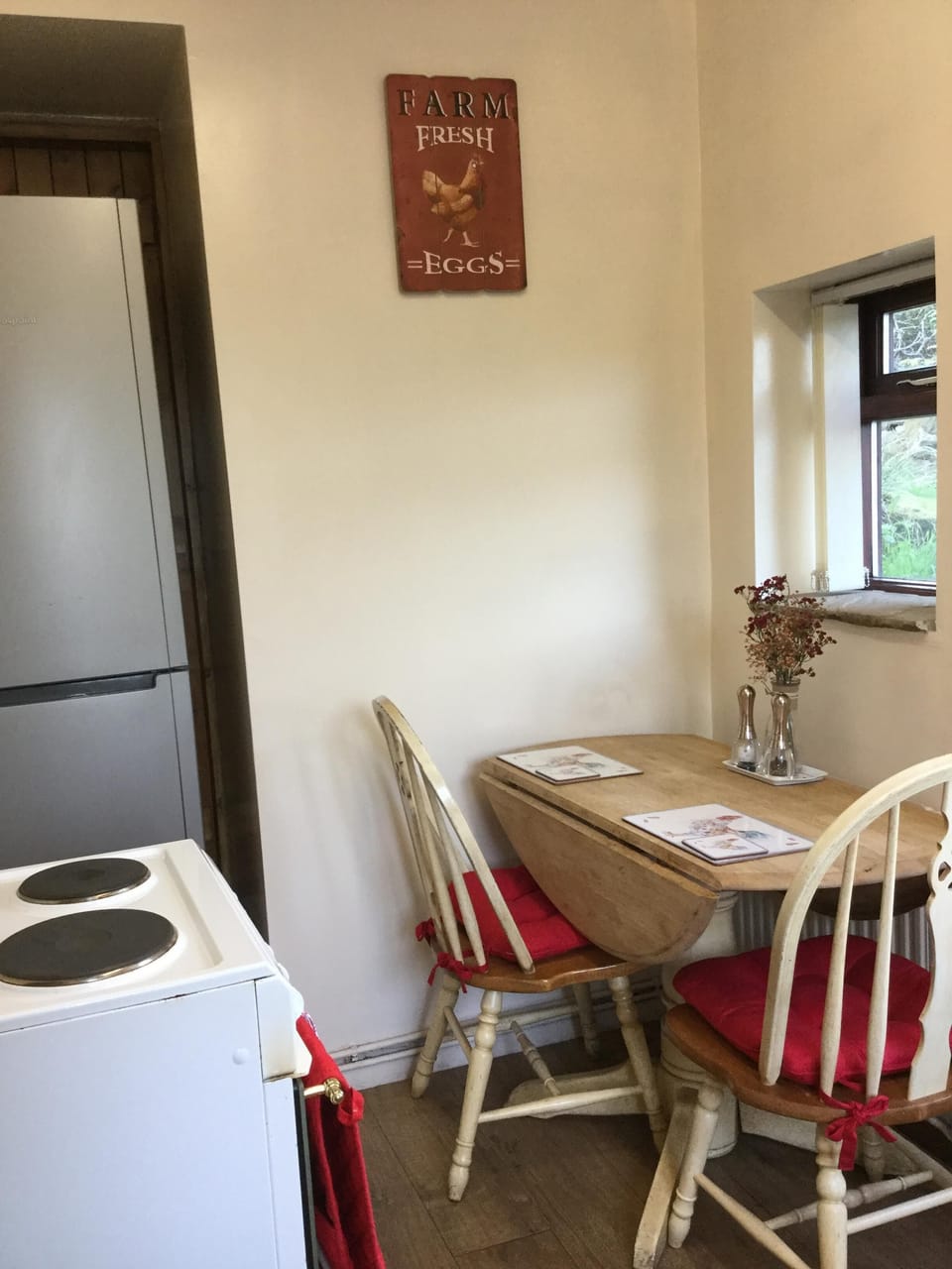 Tall fridge/freezer 