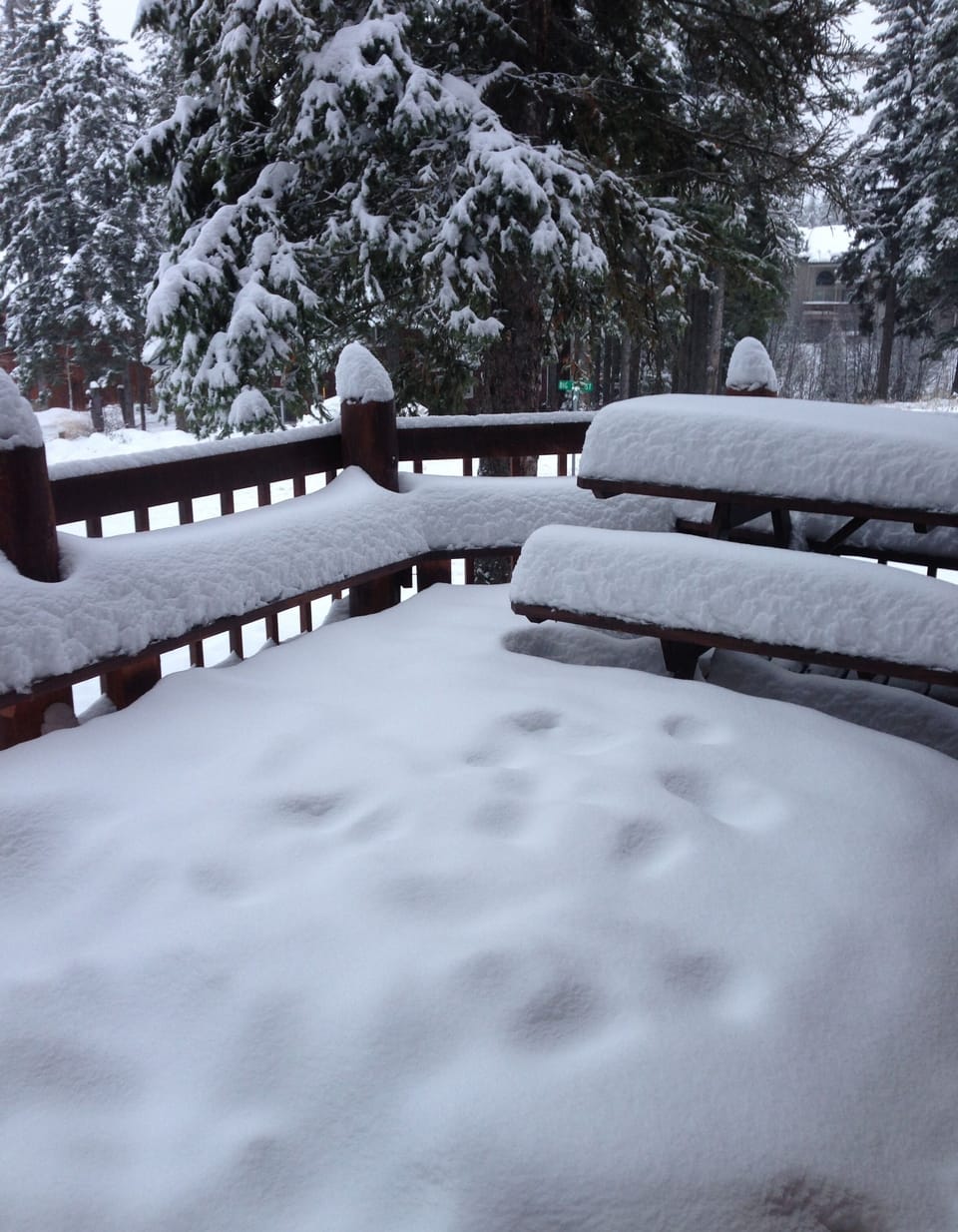 Back deck of condo