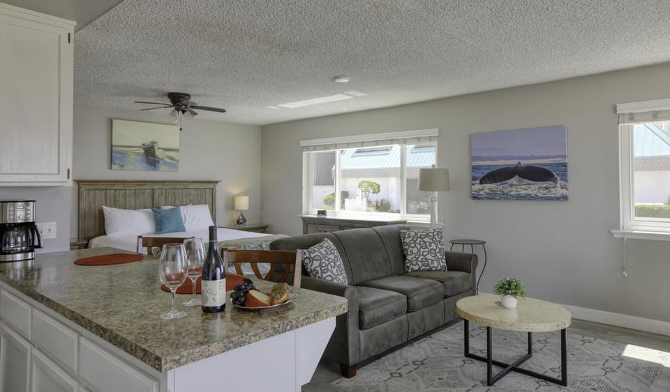 Living Room with sofa sleeper