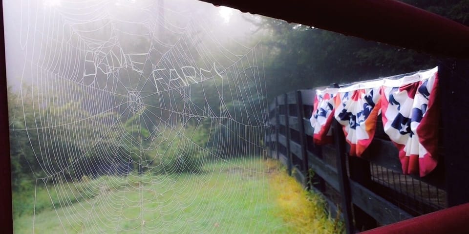 Take it from Charlotte...