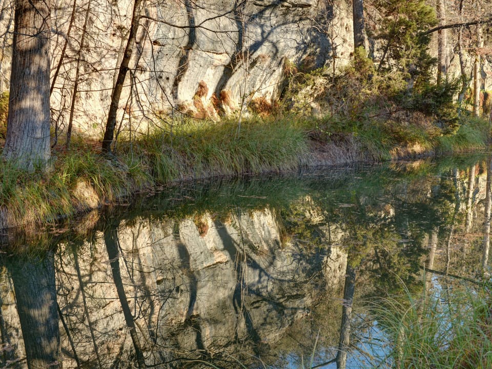 Creek view.