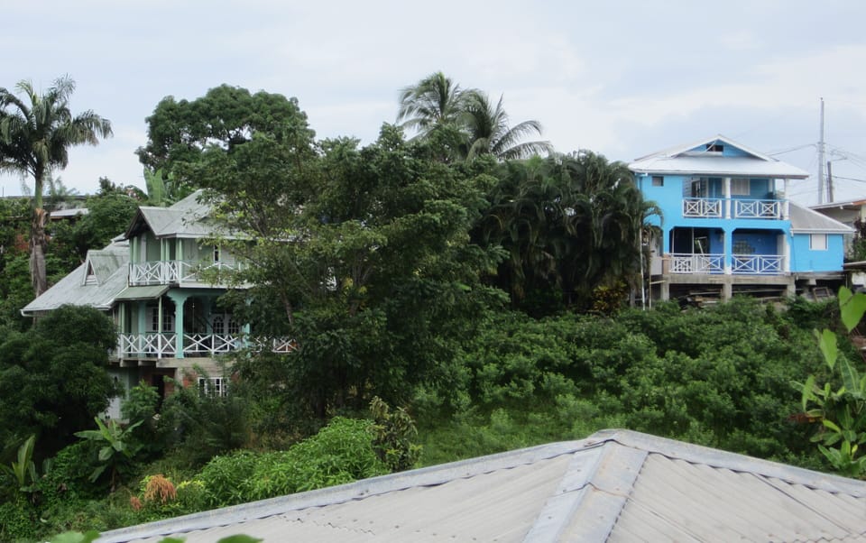 Onelovecottagetobago view from.the village
