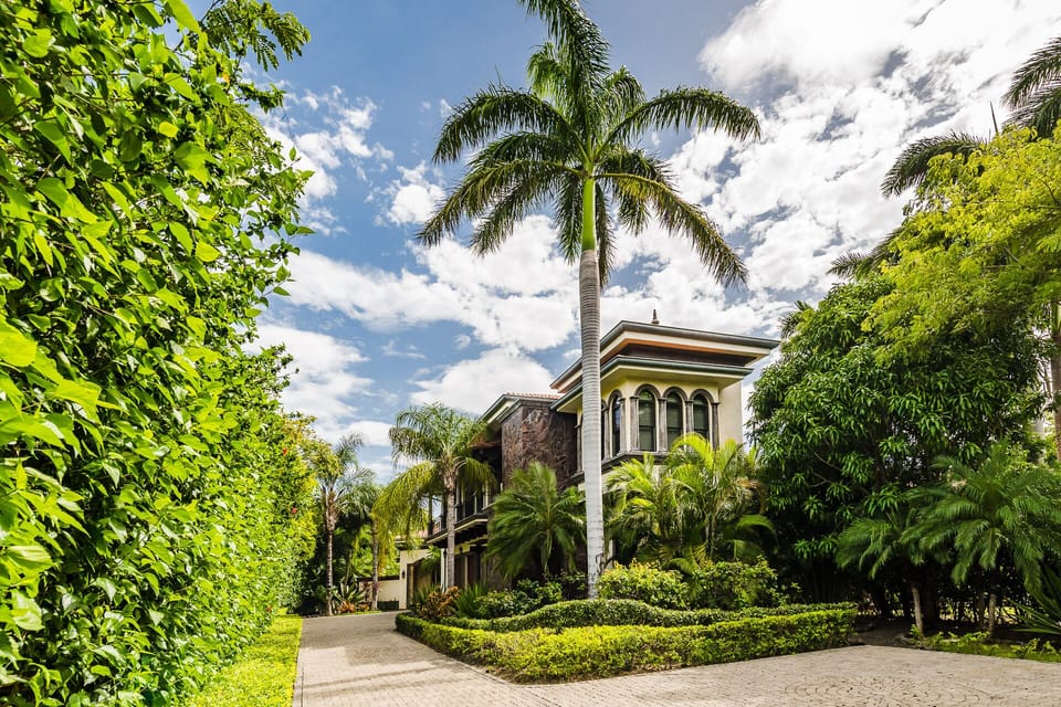 Endless greenery for your enjoyment.