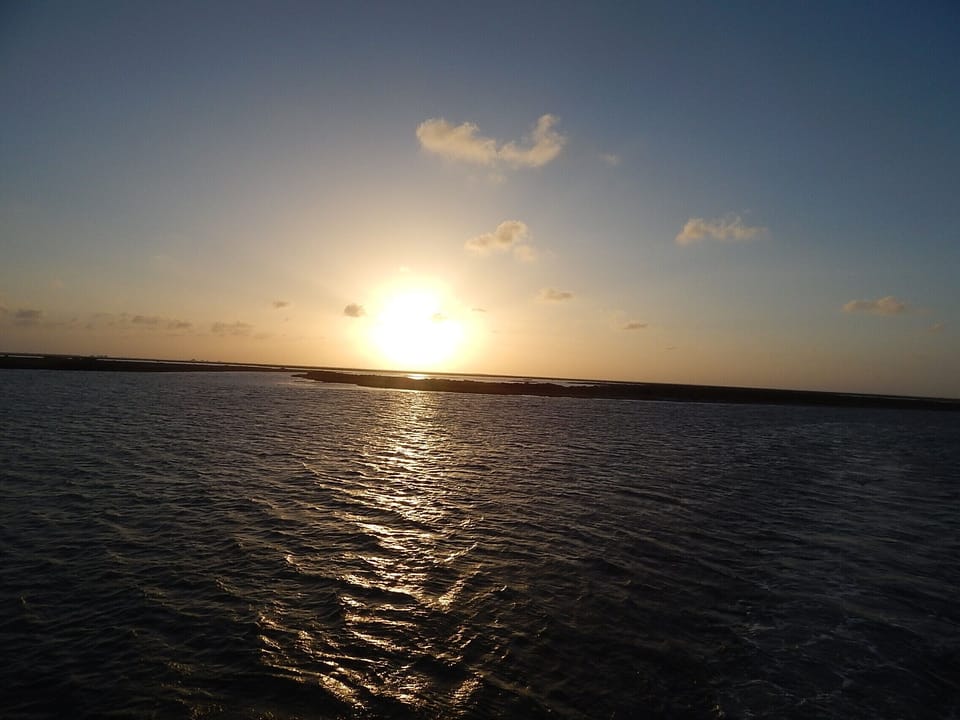Sunset when we were on whale watch tour.
