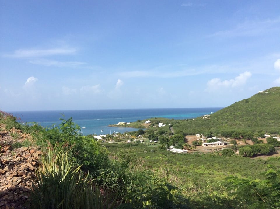 Our beautiful reef is just down the hill and we are on the pelican flyway
