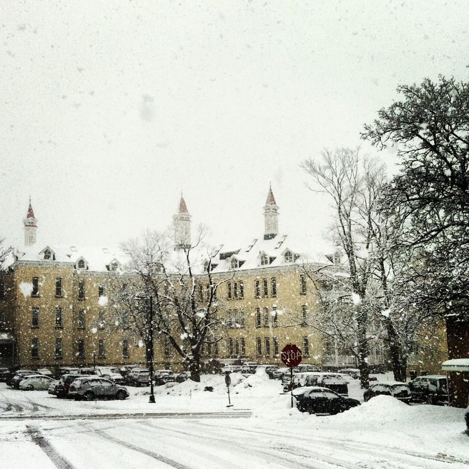 Snowy day form the back parking lot. Brick over bread being baked in the small building to the right!