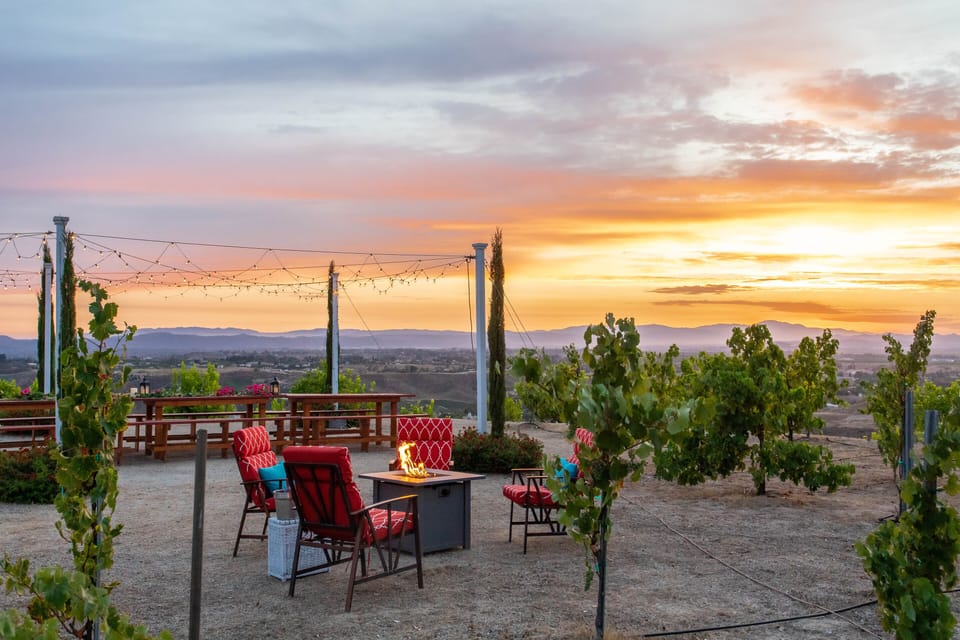 Vineyard fire-pit area. 