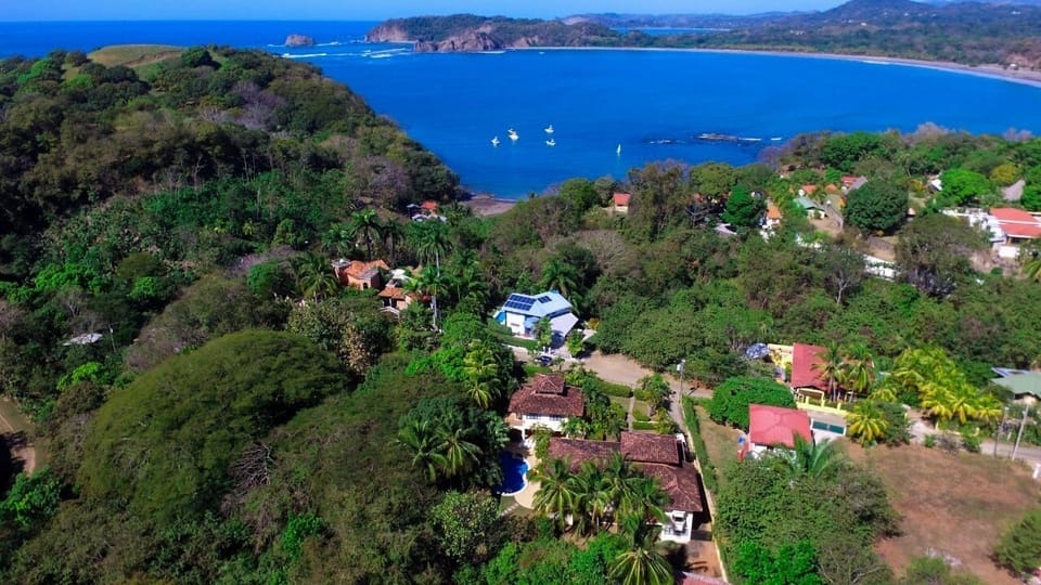 Bird view