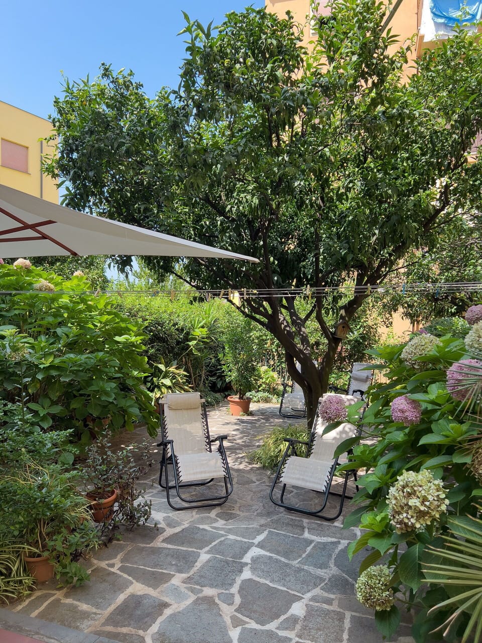 Garden, Outdoor
