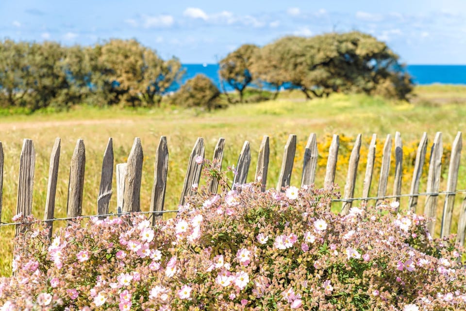 Have fun exploring the surround countryside and sea.