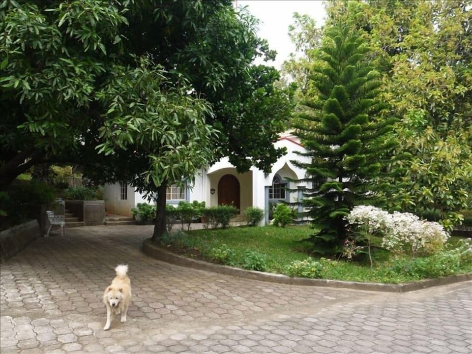 The abundance of mature trees creates a microclimate with cool temperatures.