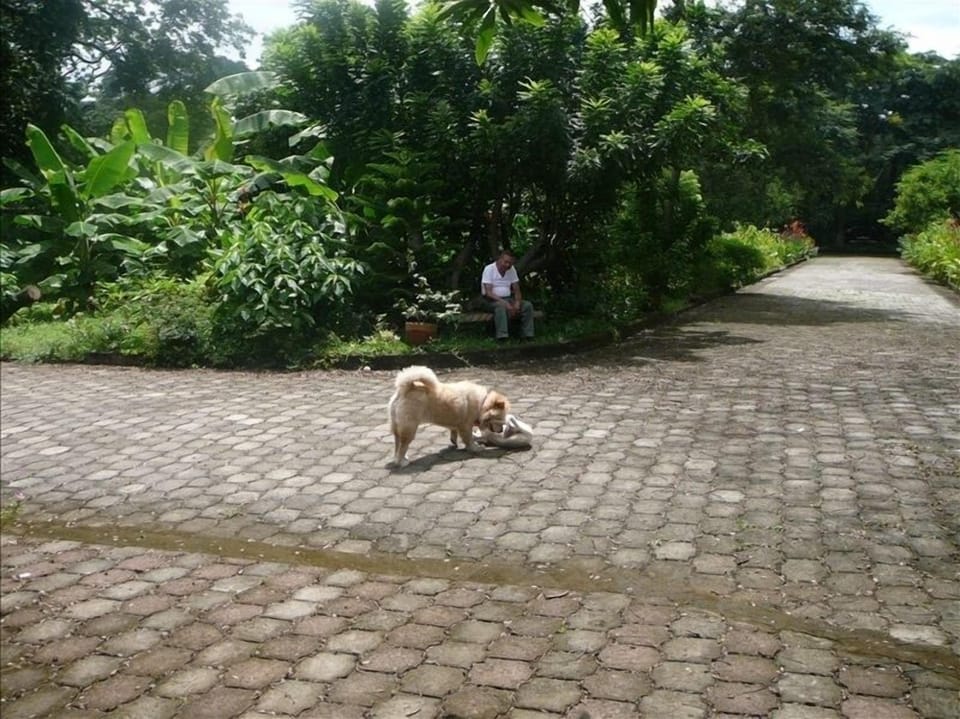 2 acres property with plenty of areas for relaxation and observing nature.