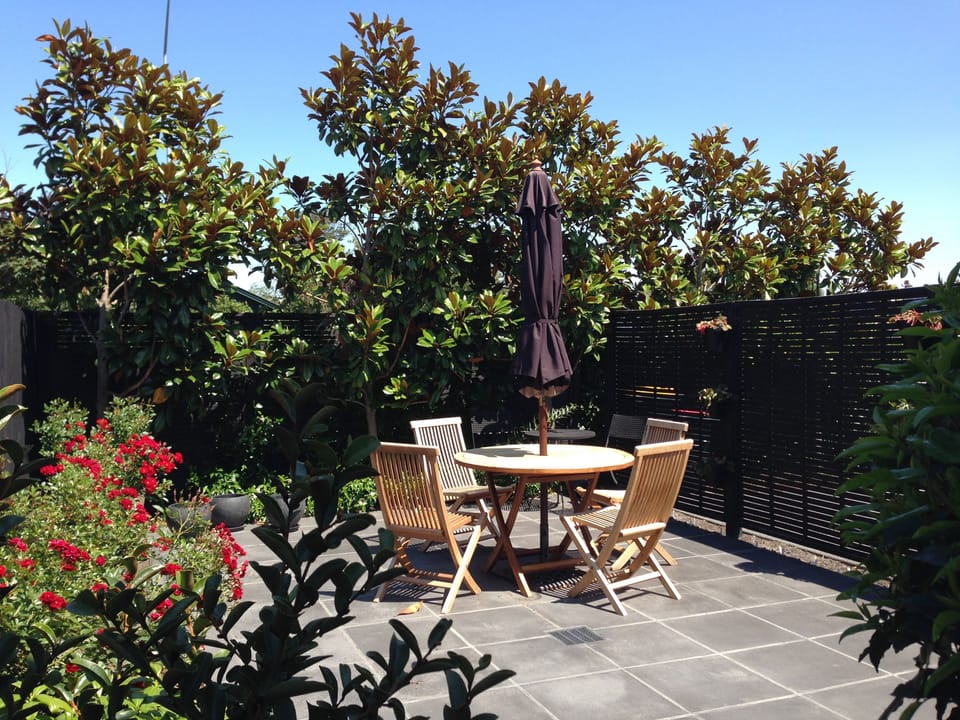  Sheltered courtyard garden