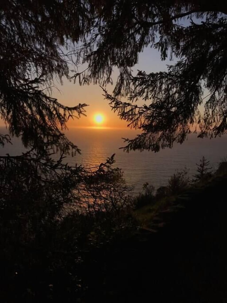 f2db65b4-eed7-492a-b16f-e9f42281e57b