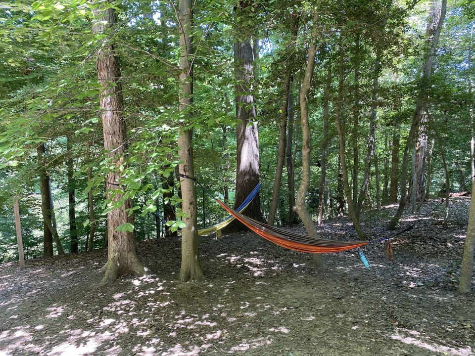 Hammock city! 