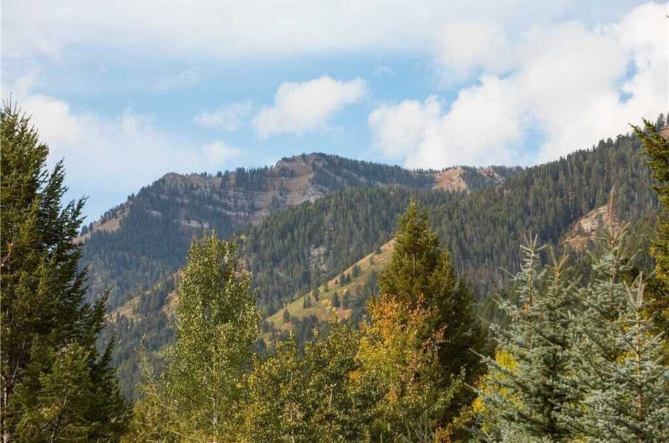 Mountain Views from Deck