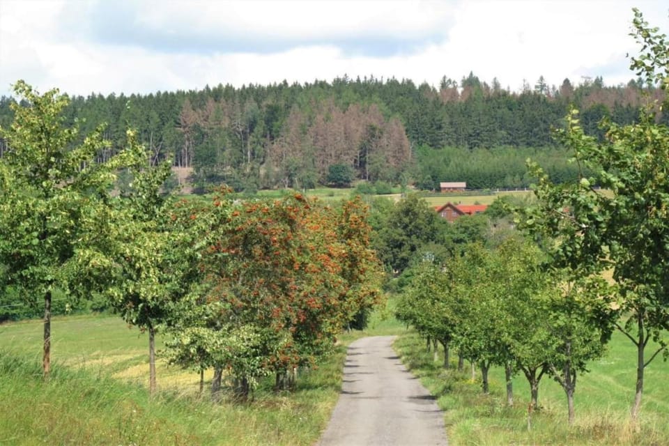 Region [summer] (>5 km)