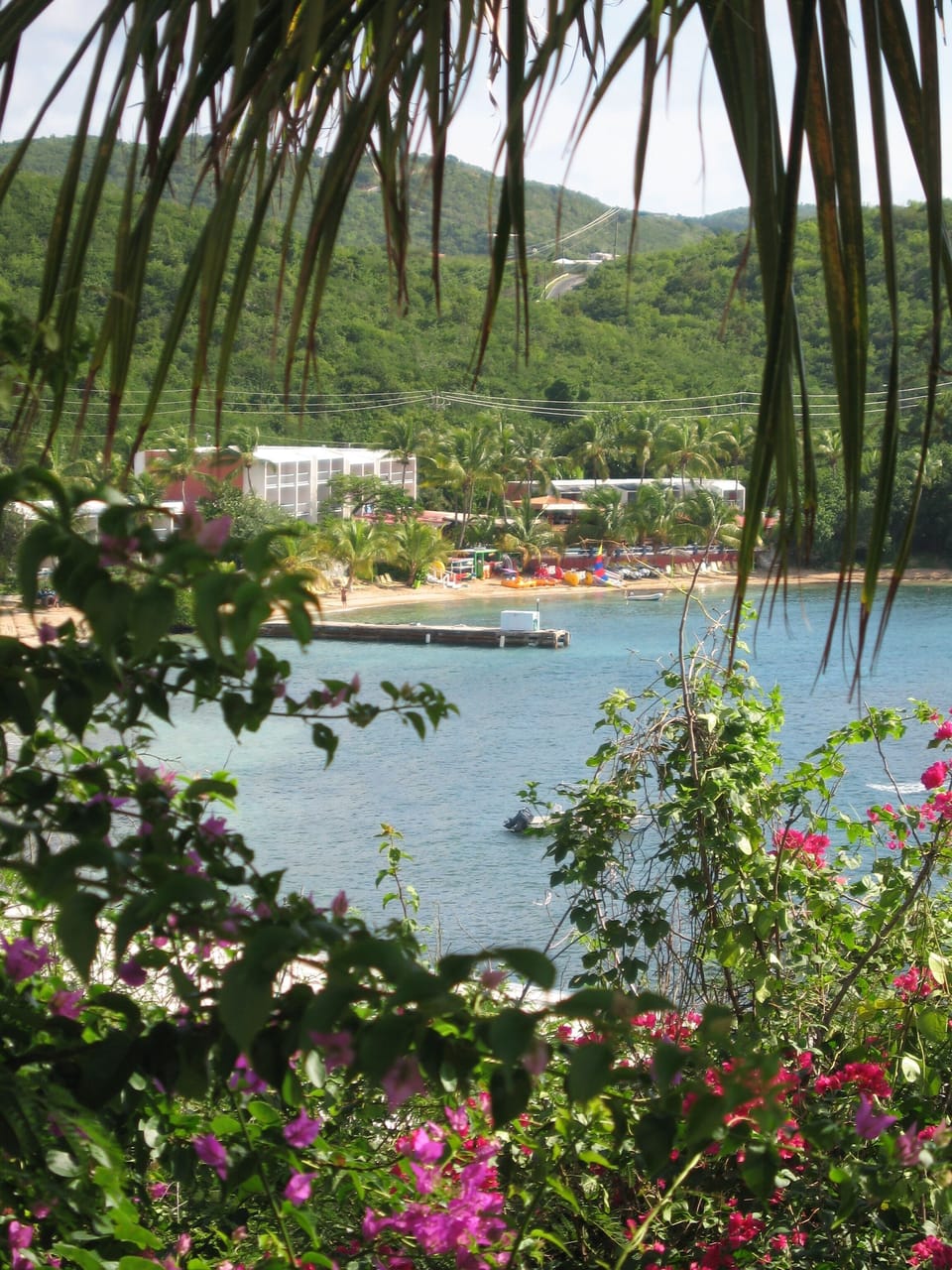 View overlooking Bolongo Bay