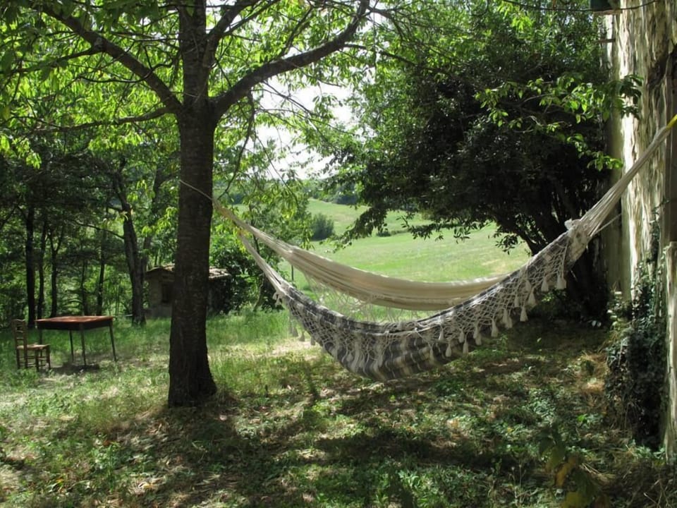 Hammocks under the cherry trees
