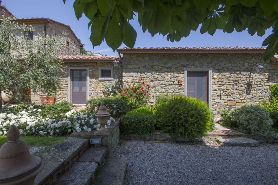 Garden and outdoor  view