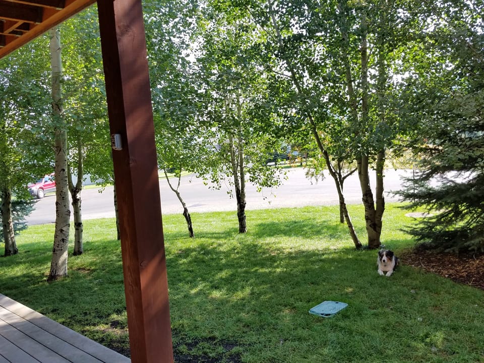 Taken while grilling burgers on the deck.