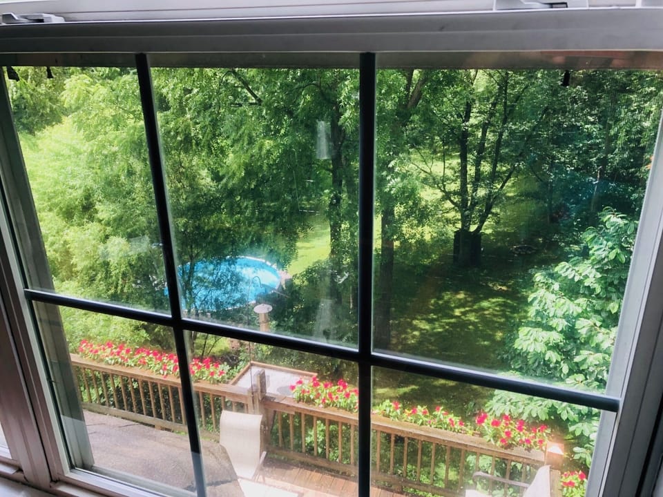 View from upstairs bedroom
