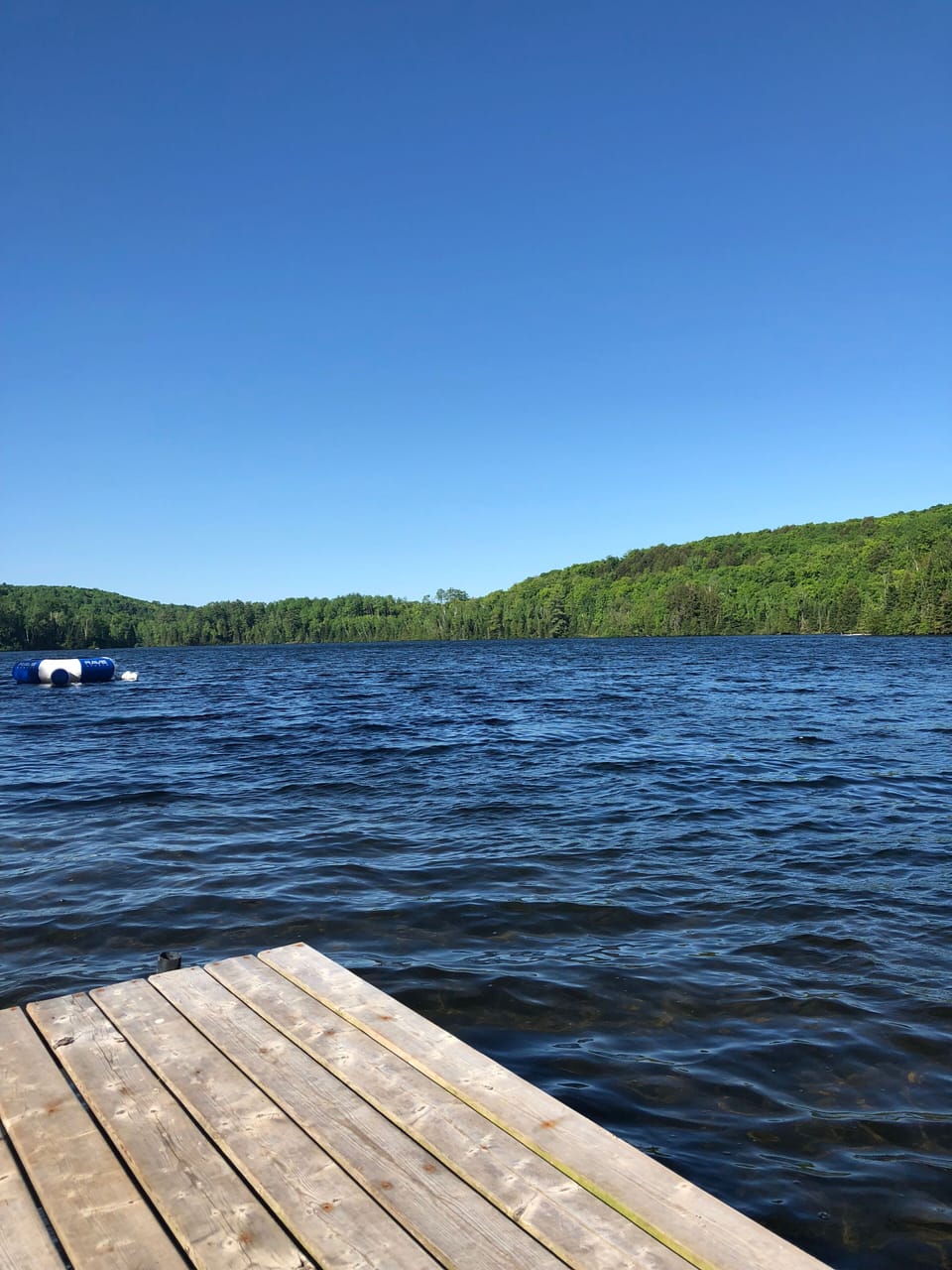 View from the dock.  