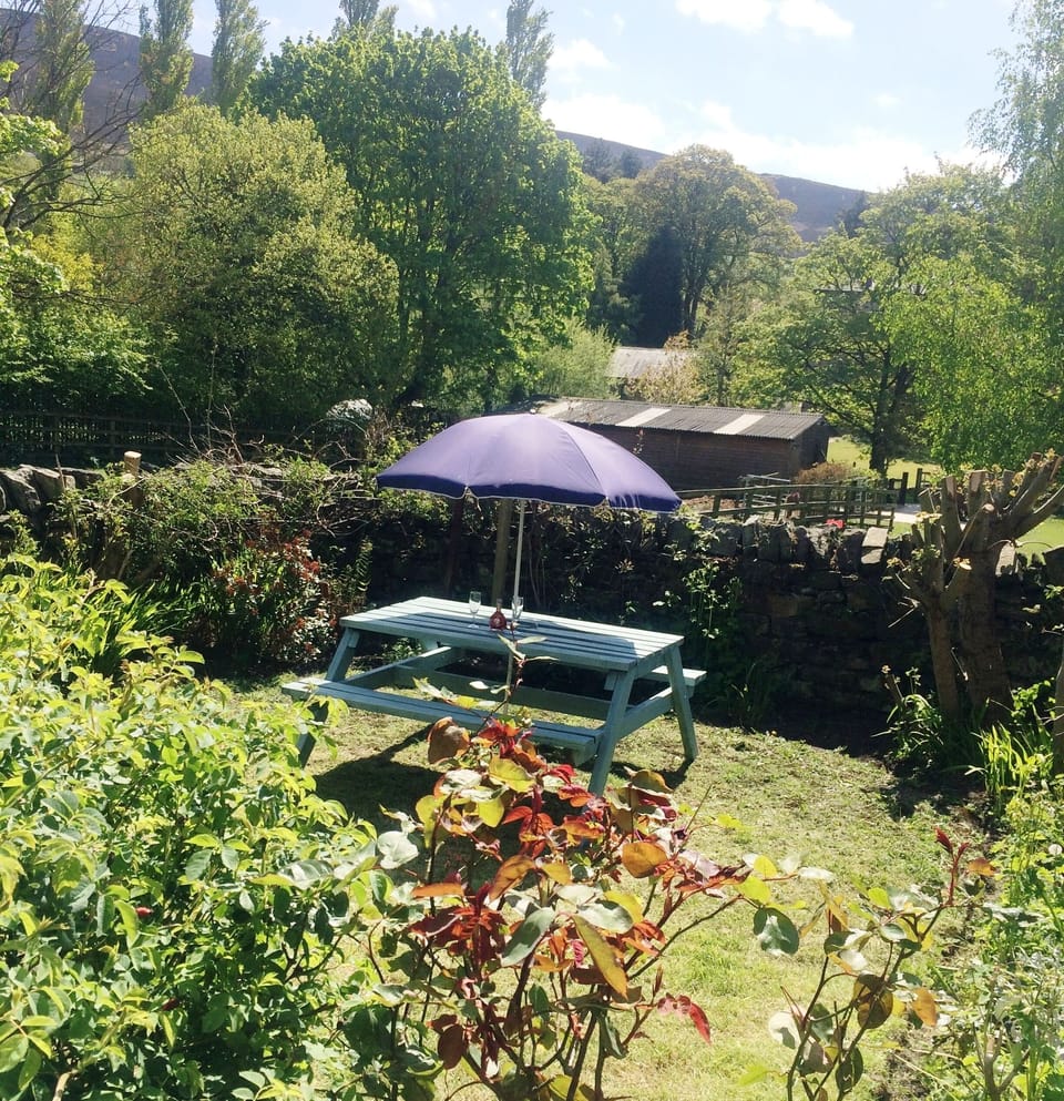 Enclosed Private Garden 