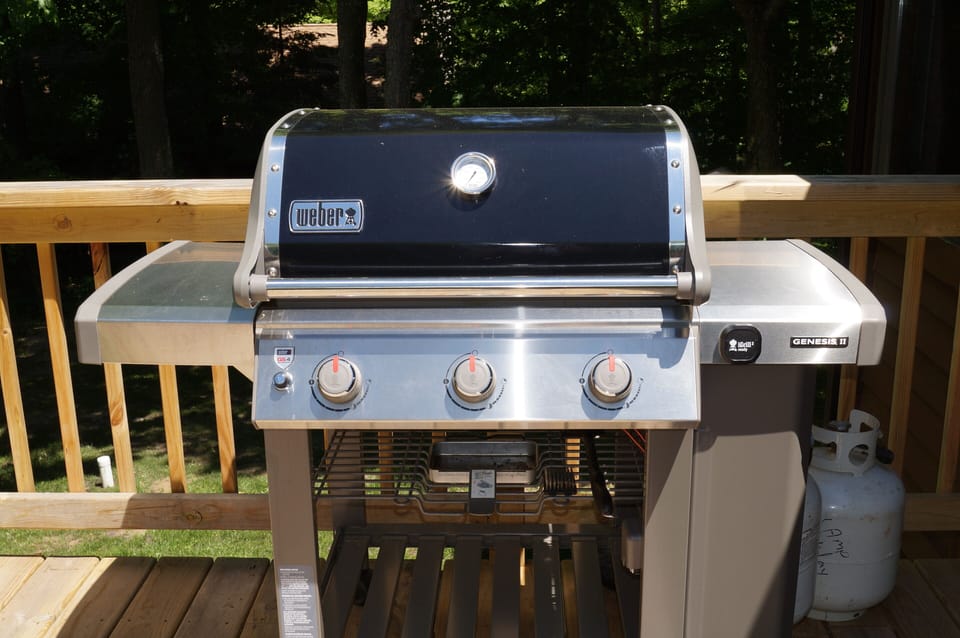 Gas grill