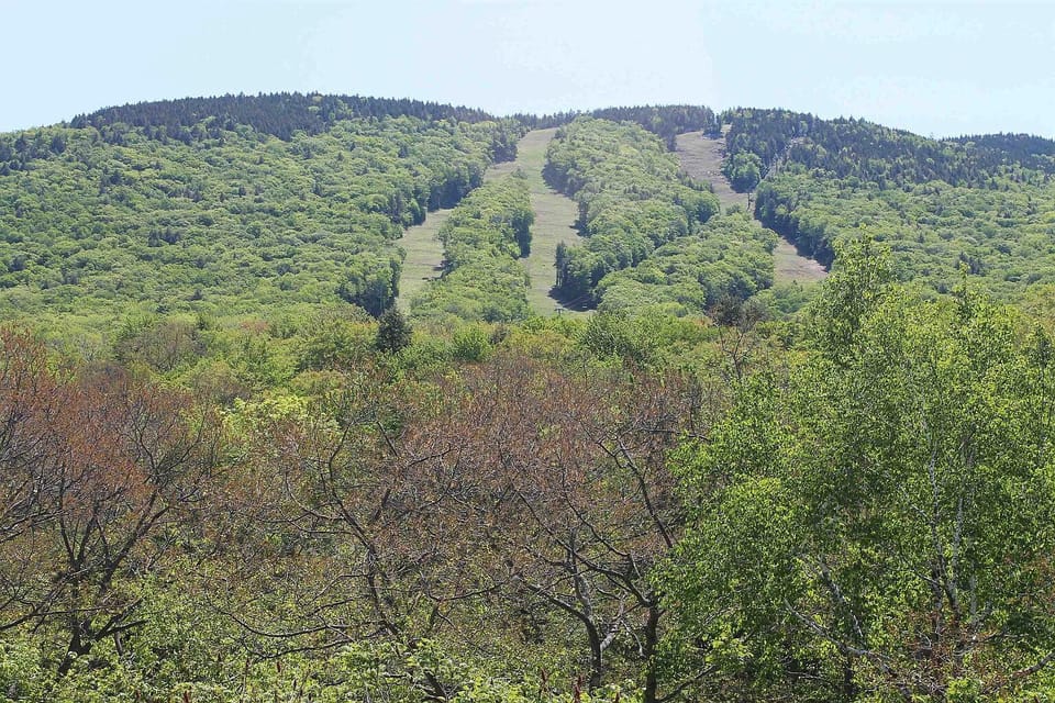 View from back of building