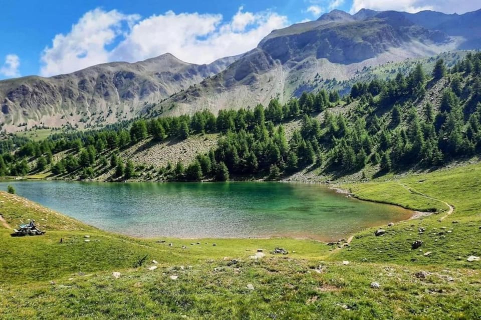 Region [summer] (>5 km)