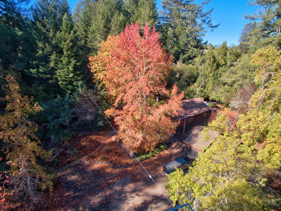 Aerial view in fall