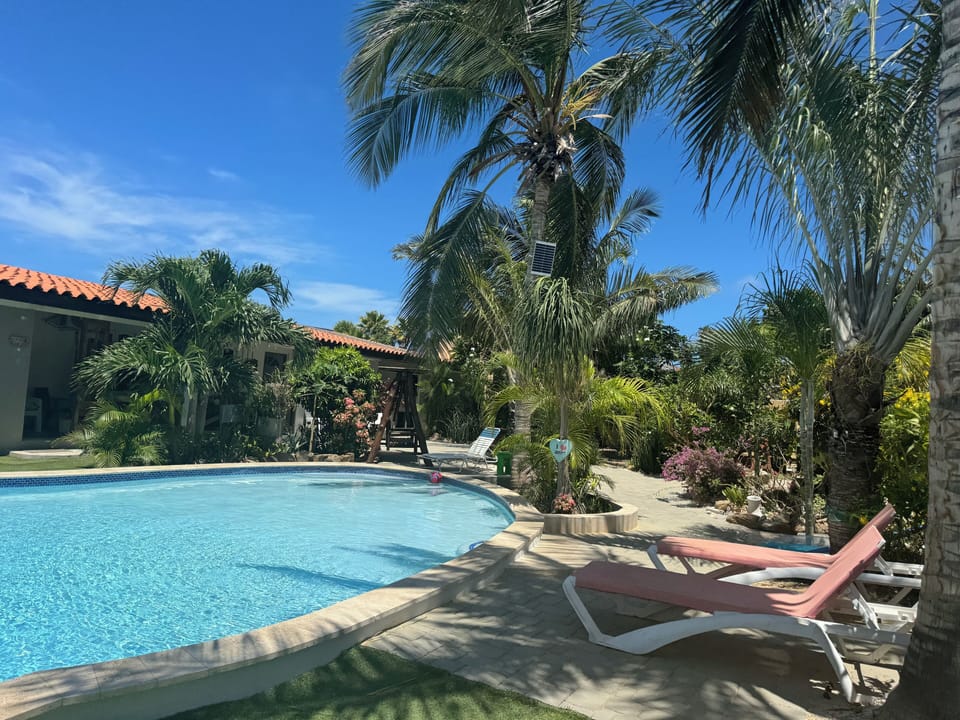 pool and garden view