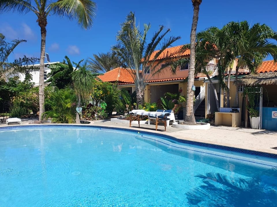 back yeard and pool