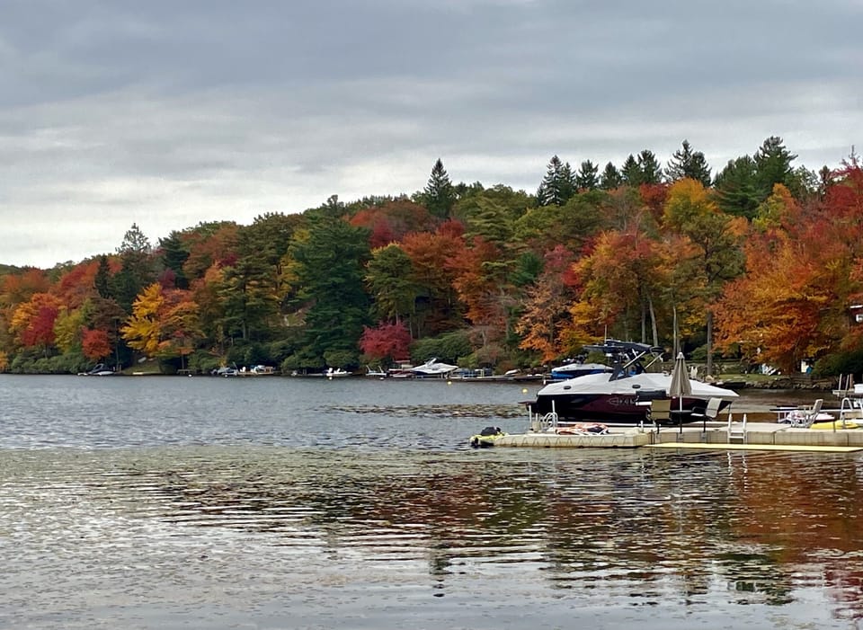 Fall 