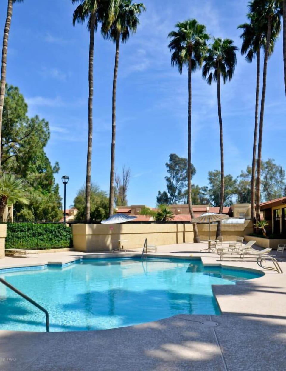 Pool #1
