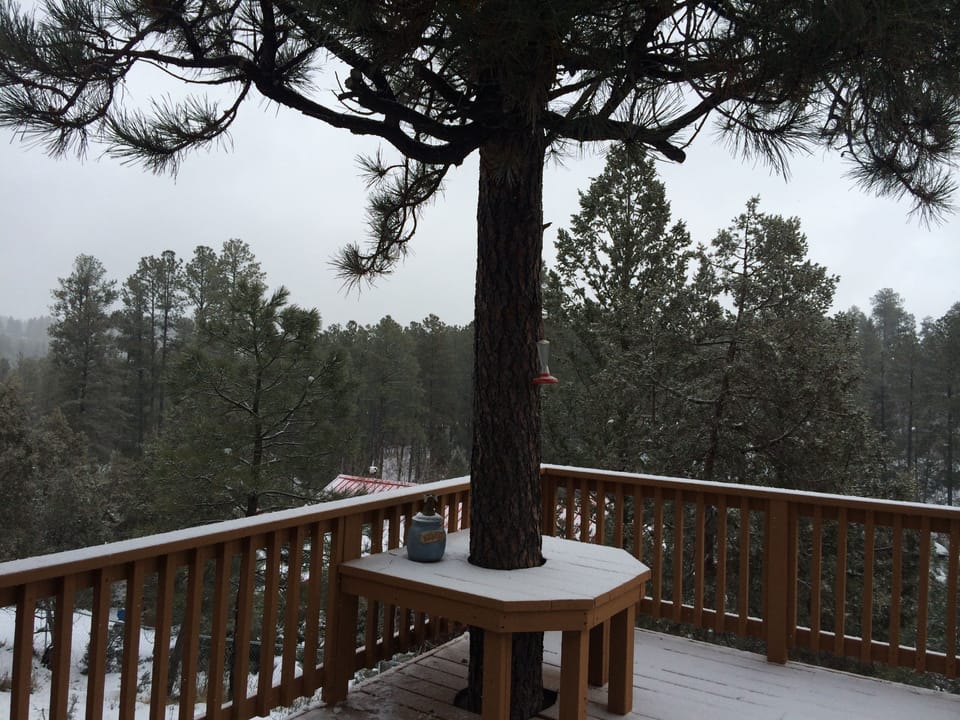 View from back door.