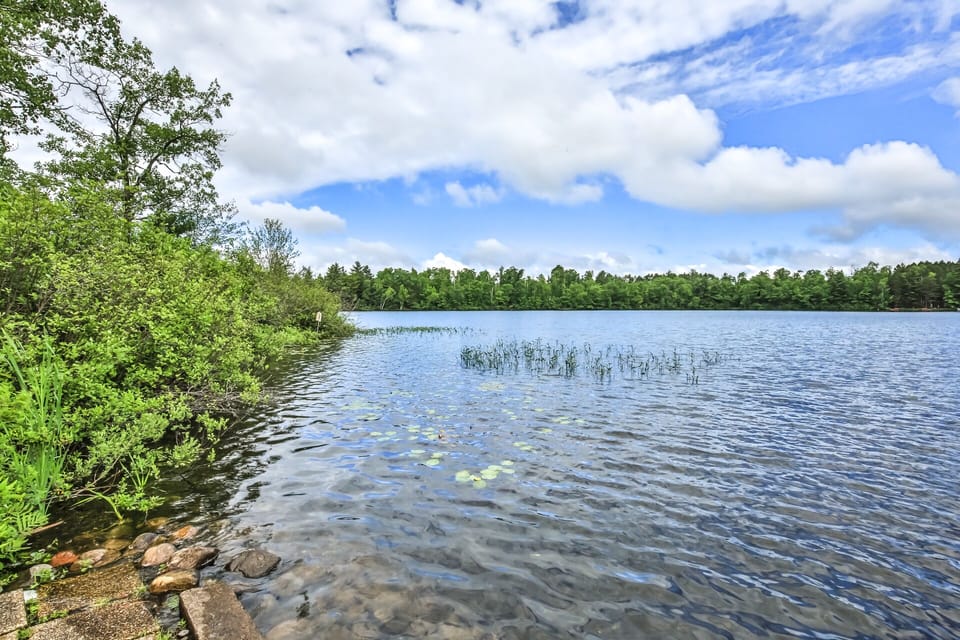 View from dock of north side of lake 