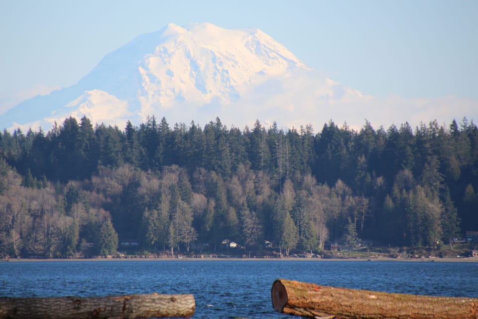 Mt Rainier from North Beach at Hartstene Pointe