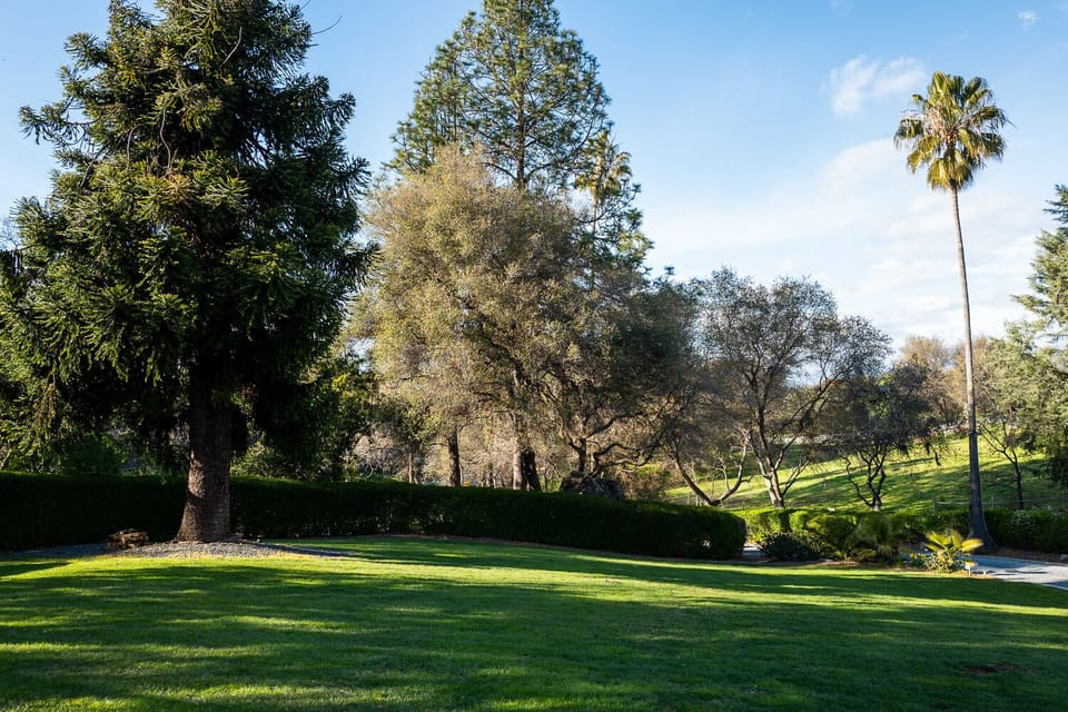 Front lawn looking towards the tennis court