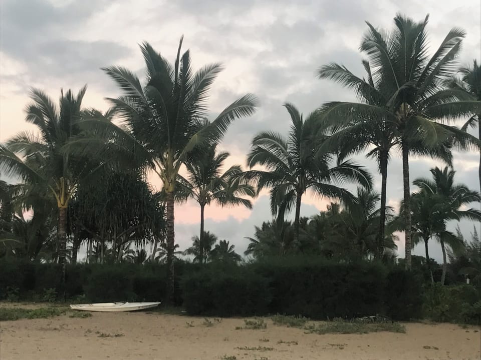 HANALEI BEACH