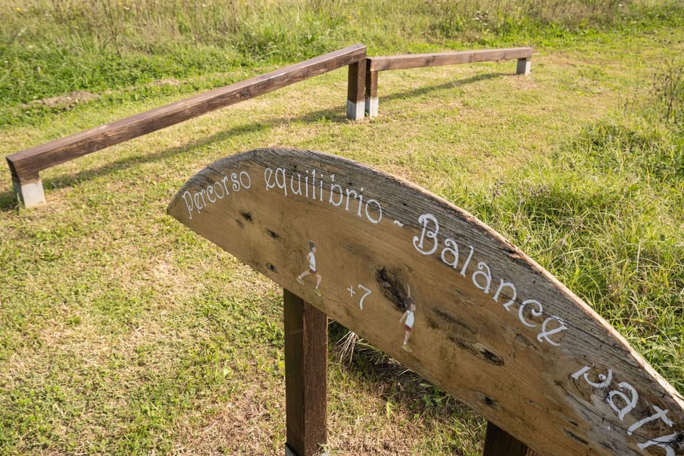 Wood, Land Lot, Natural Landscape, Plant, Grass, Rural Area, Groundcover, Landscape, Grassland, Font