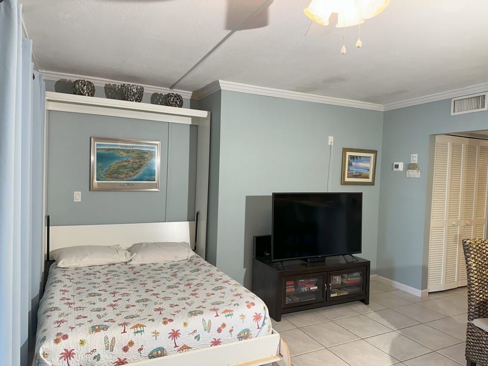 Murphy bed pulls down from the wall.