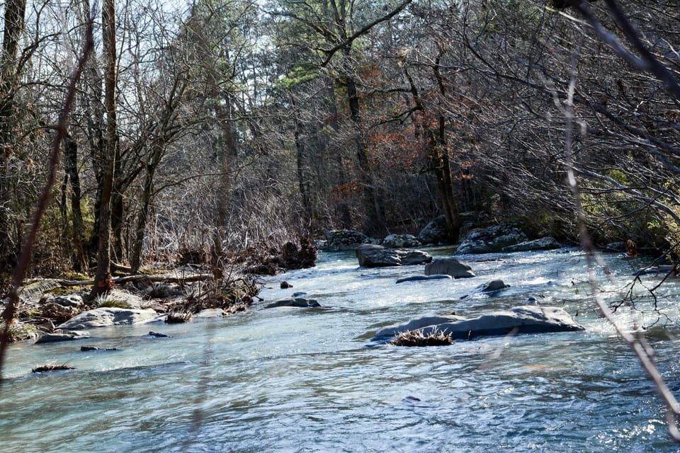 The Cossatot River runs all through the mountains, enjoy viewing or swimming.