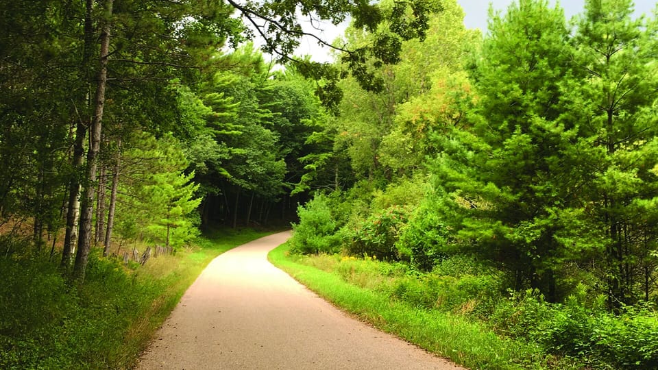 Great walks on our road. 15-minute walk to beach/park on Sunset Lake.