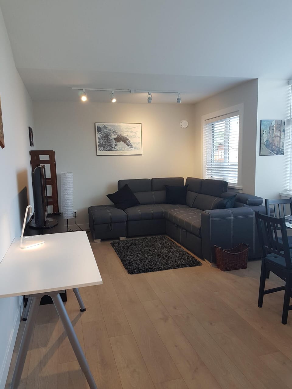 Living Room and TV  (couch has a pull out double bed).