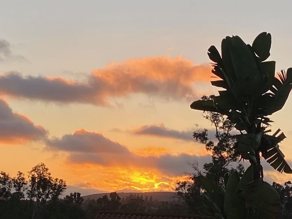 Gorgeous San Diego sunsets in our backyard